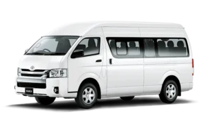 Bintan Tour Package