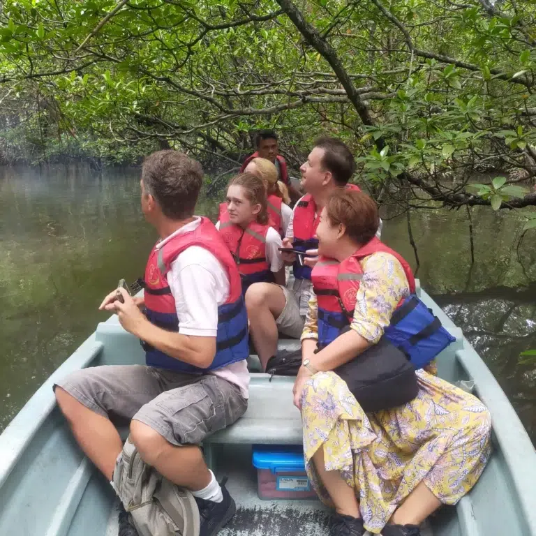 bintan mangrove and fireflies tour