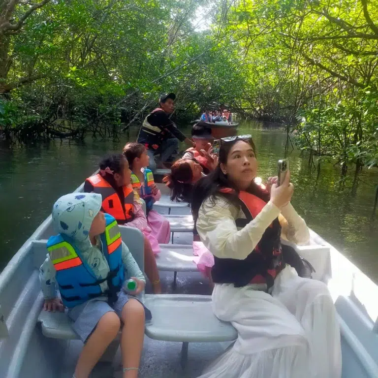 Bintan Mangrove and Fireflies Tour