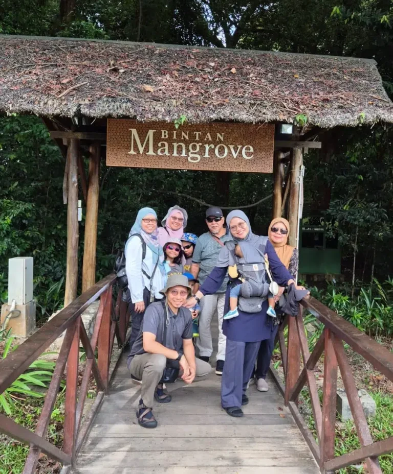 bintan mangrove and fireflies tour