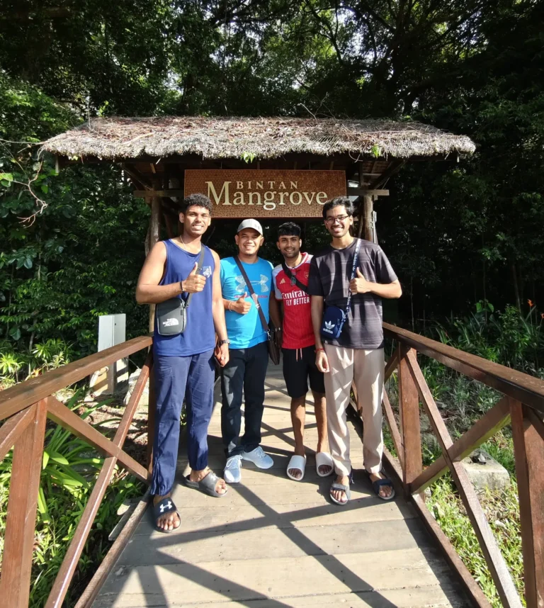 bintan mangrove and fireflies tour