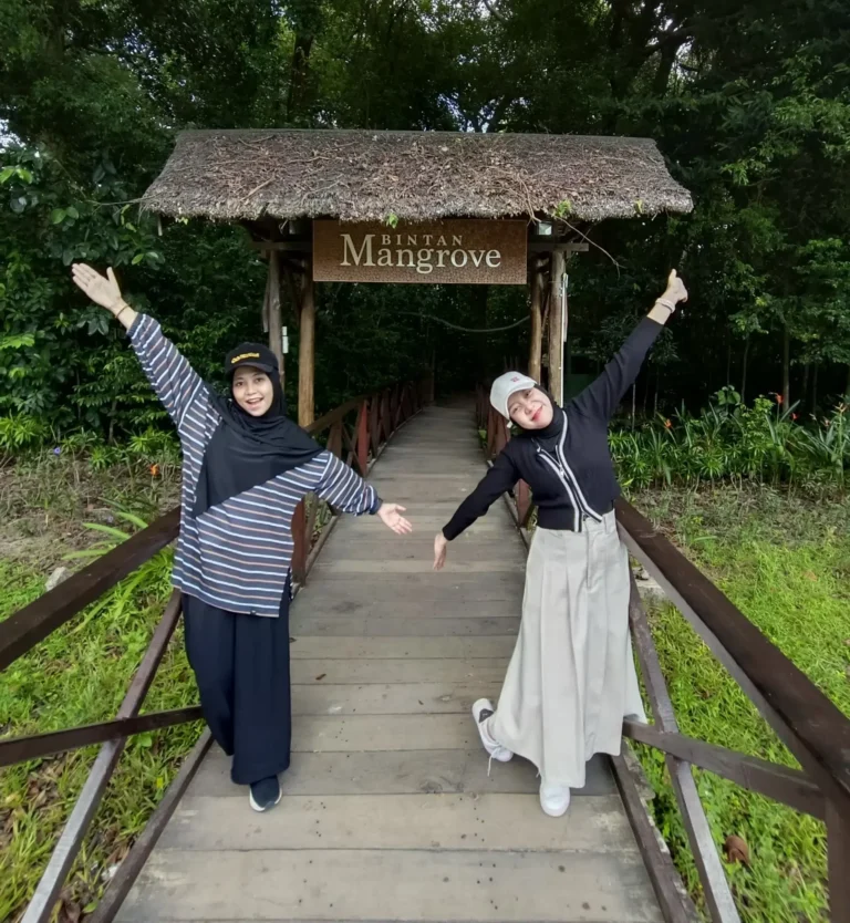bintan mangrove and fireflies tour
