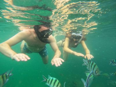 Bintan Snorkeling Tour