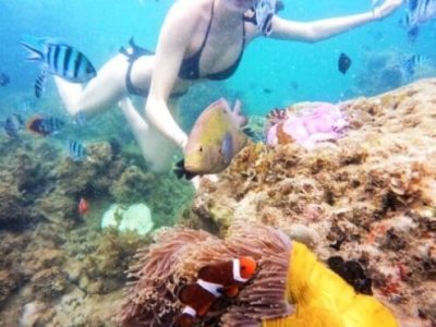 Bintan Snorkeling Tour