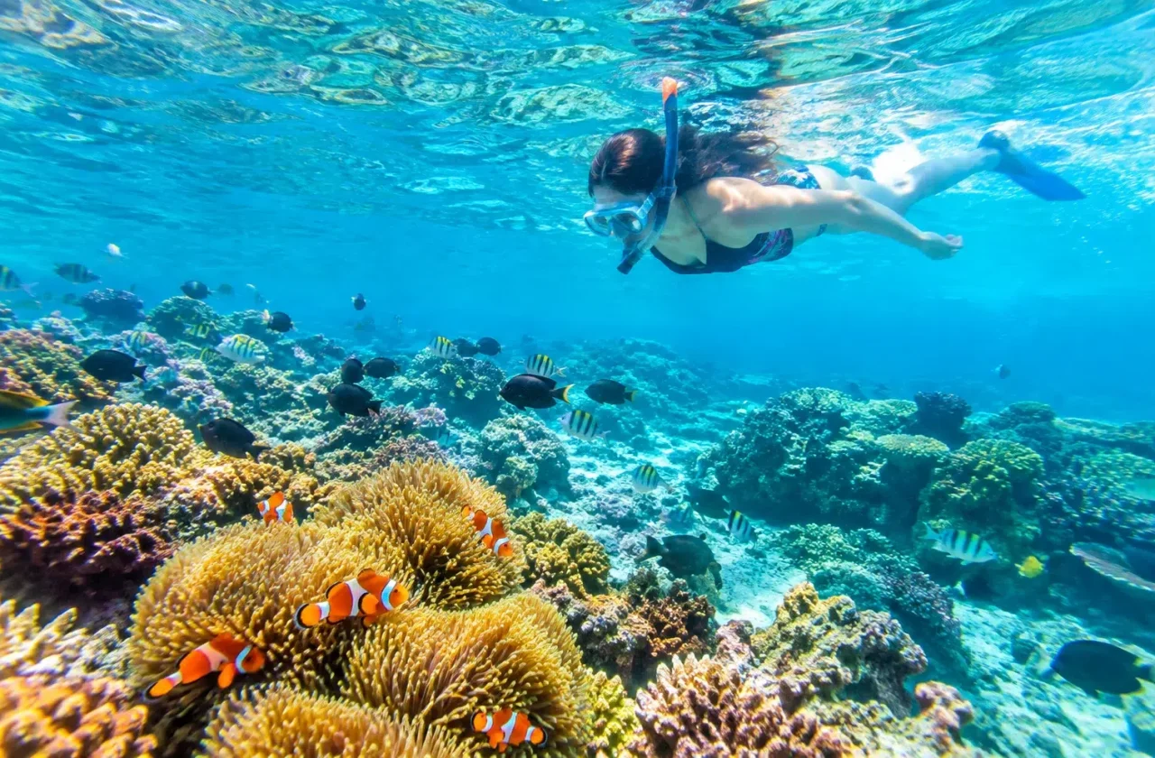 snorkeling ambar